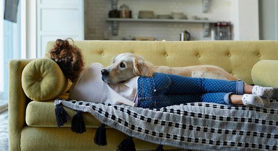 Why Pet-Friendly Homes Are in High Demand | Simplifying The Market